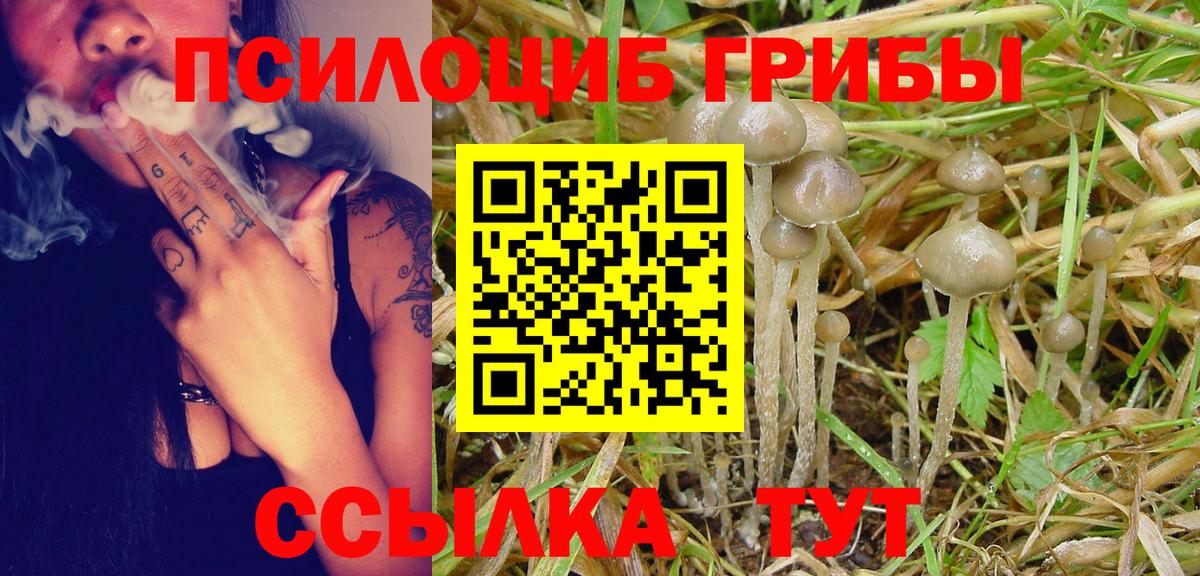 Алапаевск  Псилоцибиновые грибы MAGIC MUSHROOMS  Псилоцибиновые грибы мухоморы  Вход с VPN 